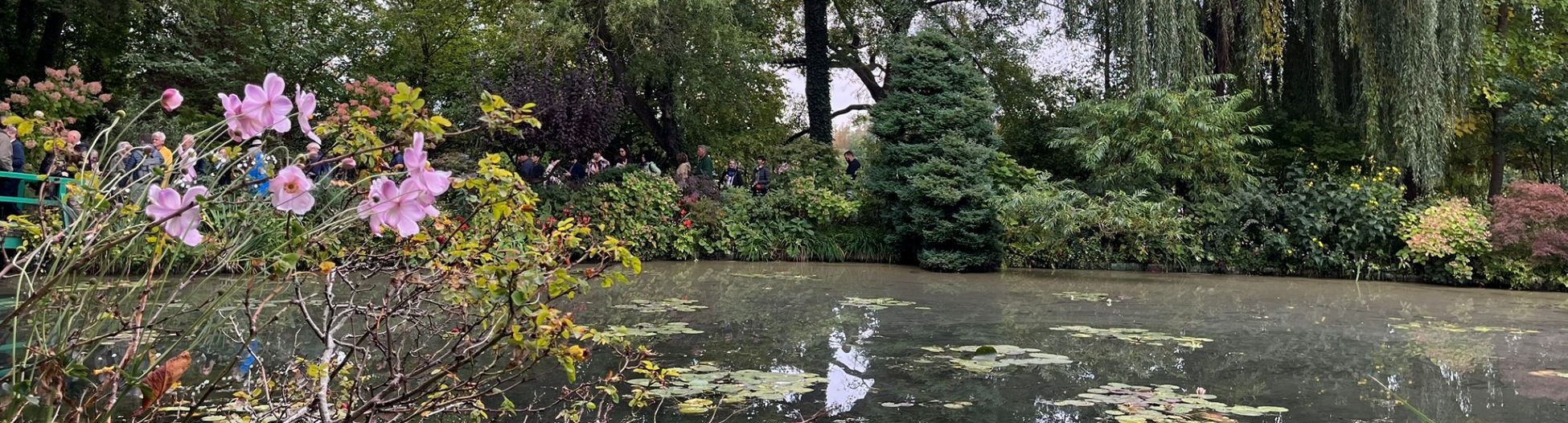 Waterlilies at Giverny